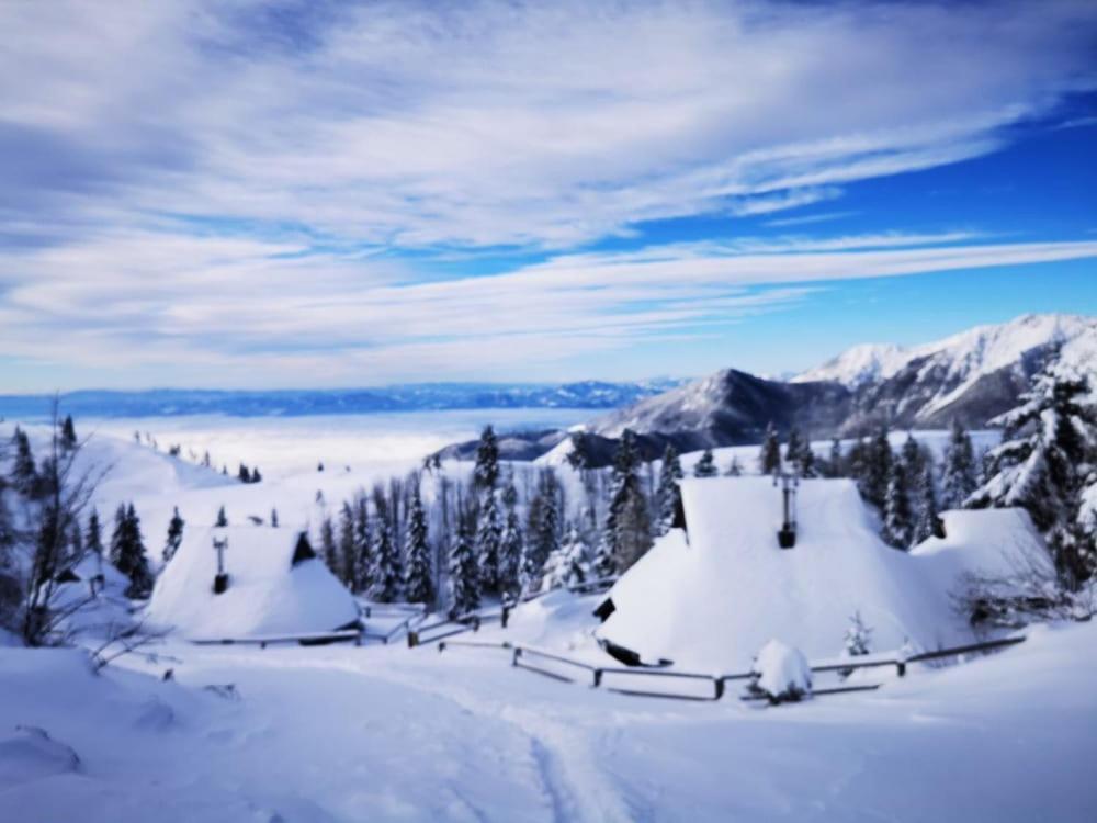 Chalet Zlatica Velika Planina Stahovica Dış mekan fotoğraf