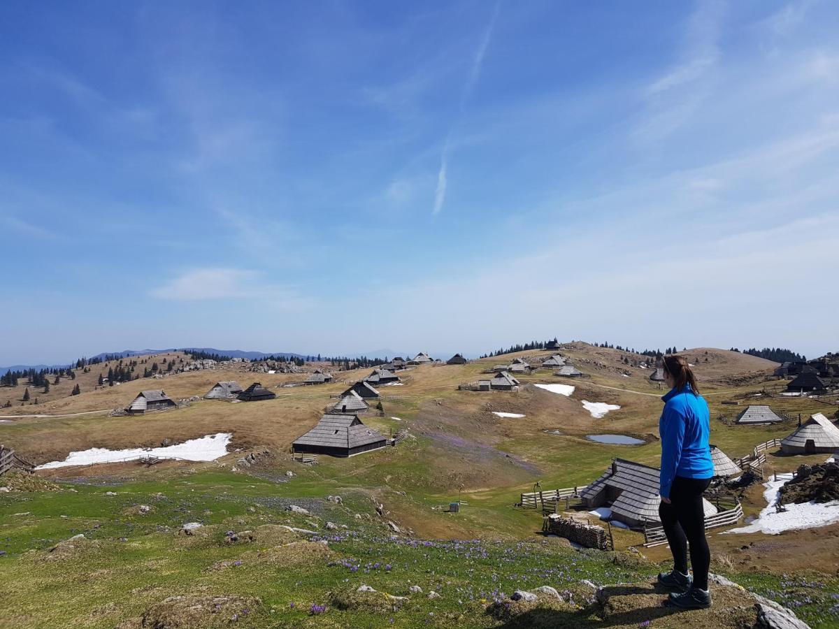 Chalet Zlatica Velika Planina Stahovica Dış mekan fotoğraf