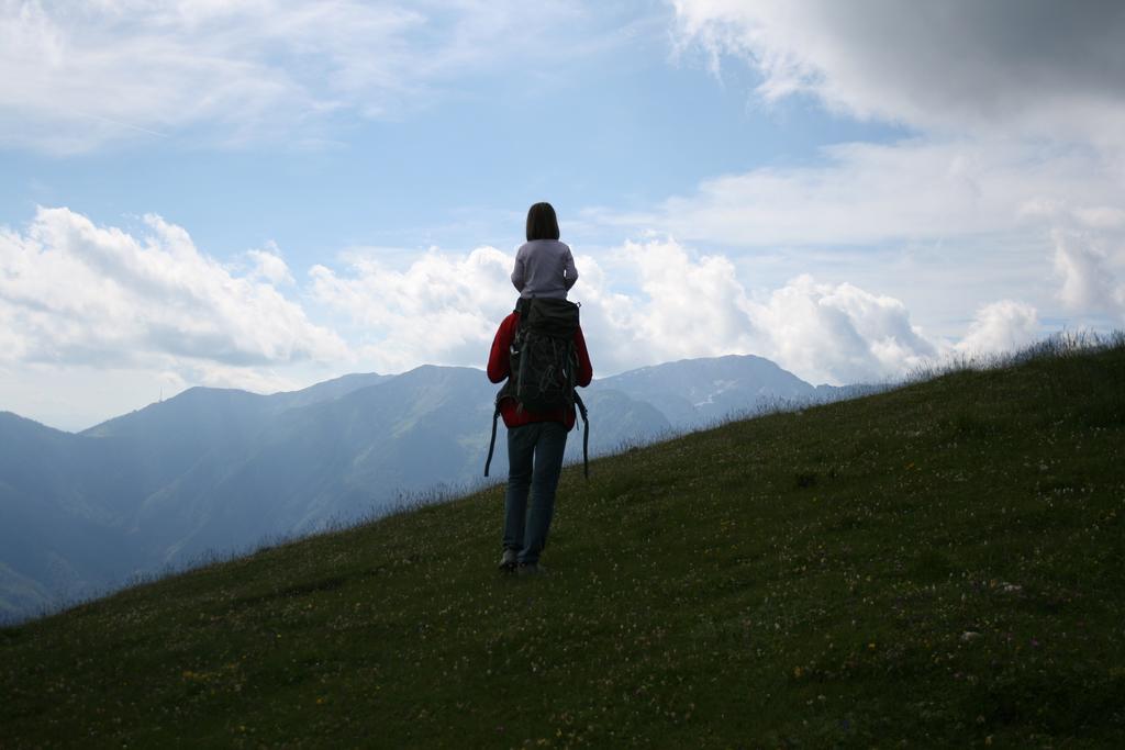 Chalet Zlatica Velika Planina Stahovica Dış mekan fotoğraf