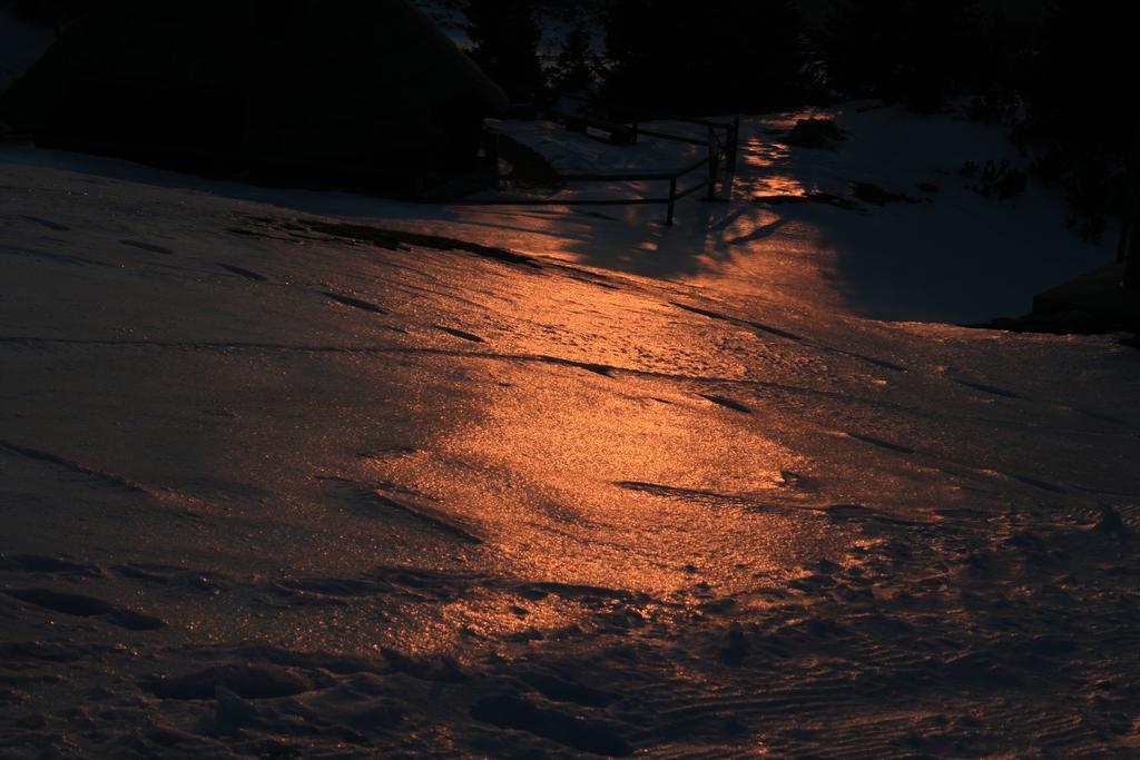 Chalet Zlatica Velika Planina Stahovica Dış mekan fotoğraf