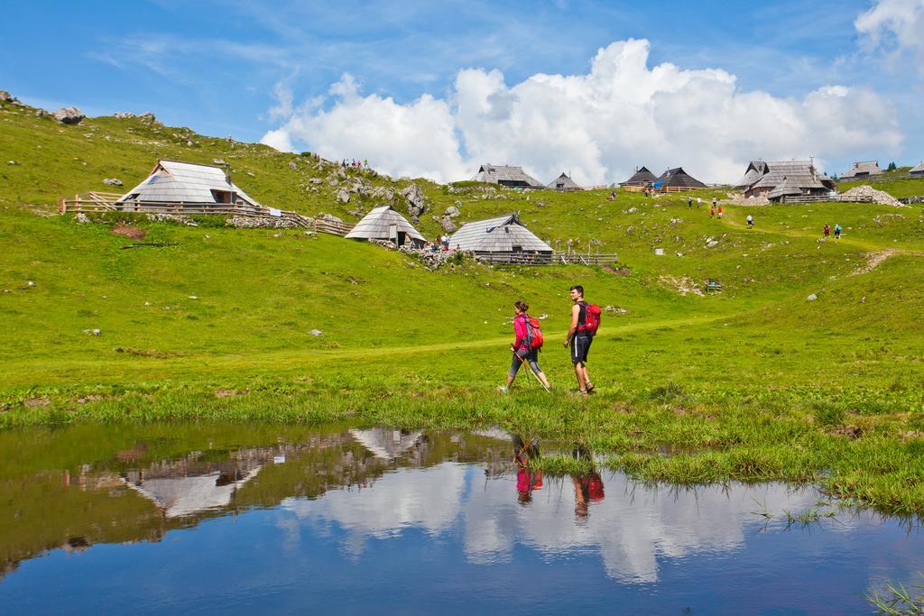 Chalet Zlatica Velika Planina Stahovica Dış mekan fotoğraf