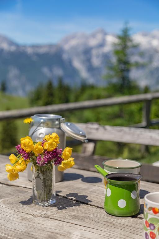 Chalet Zlatica Velika Planina Stahovica Dış mekan fotoğraf